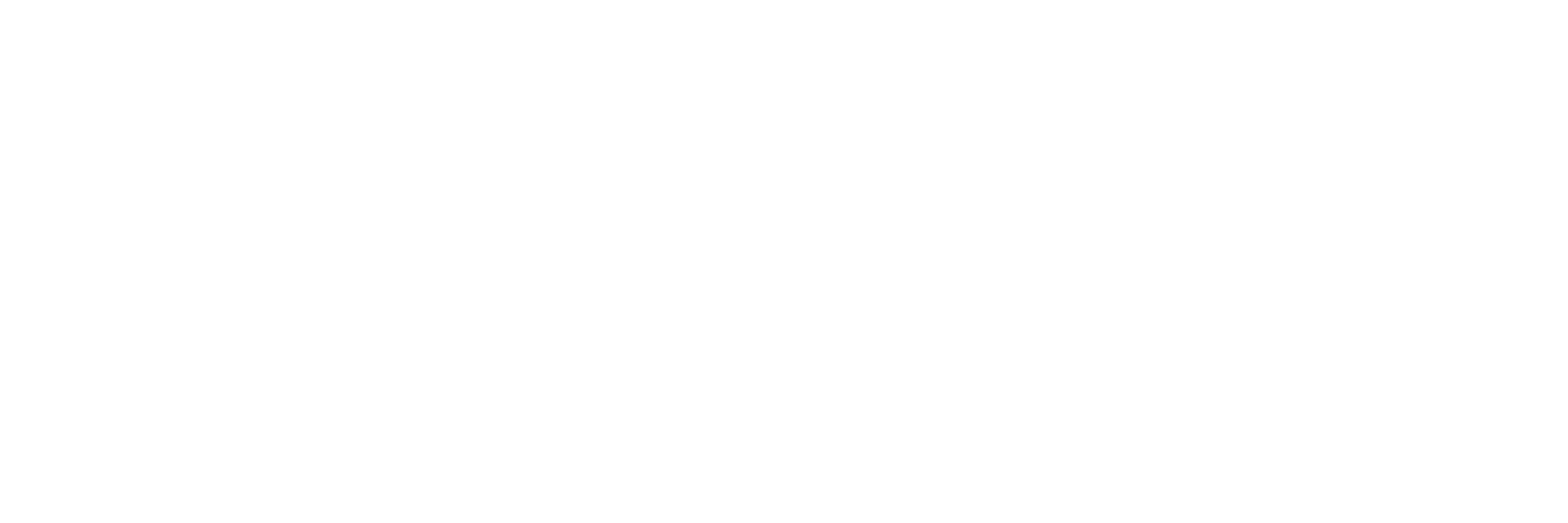 Bird House London white marque typography logo
